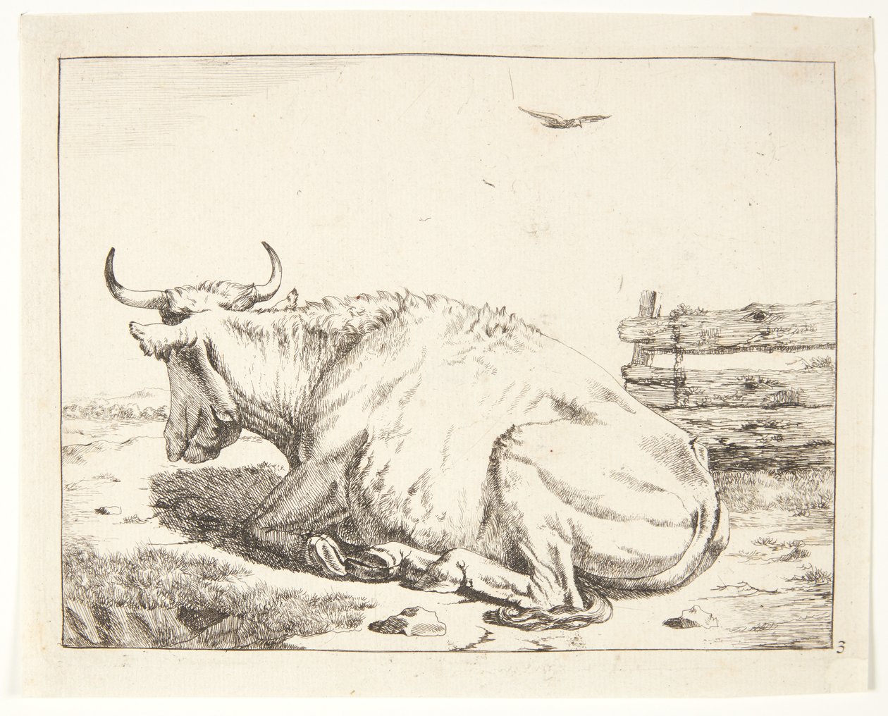 Vache couchée - Marcus de Bye