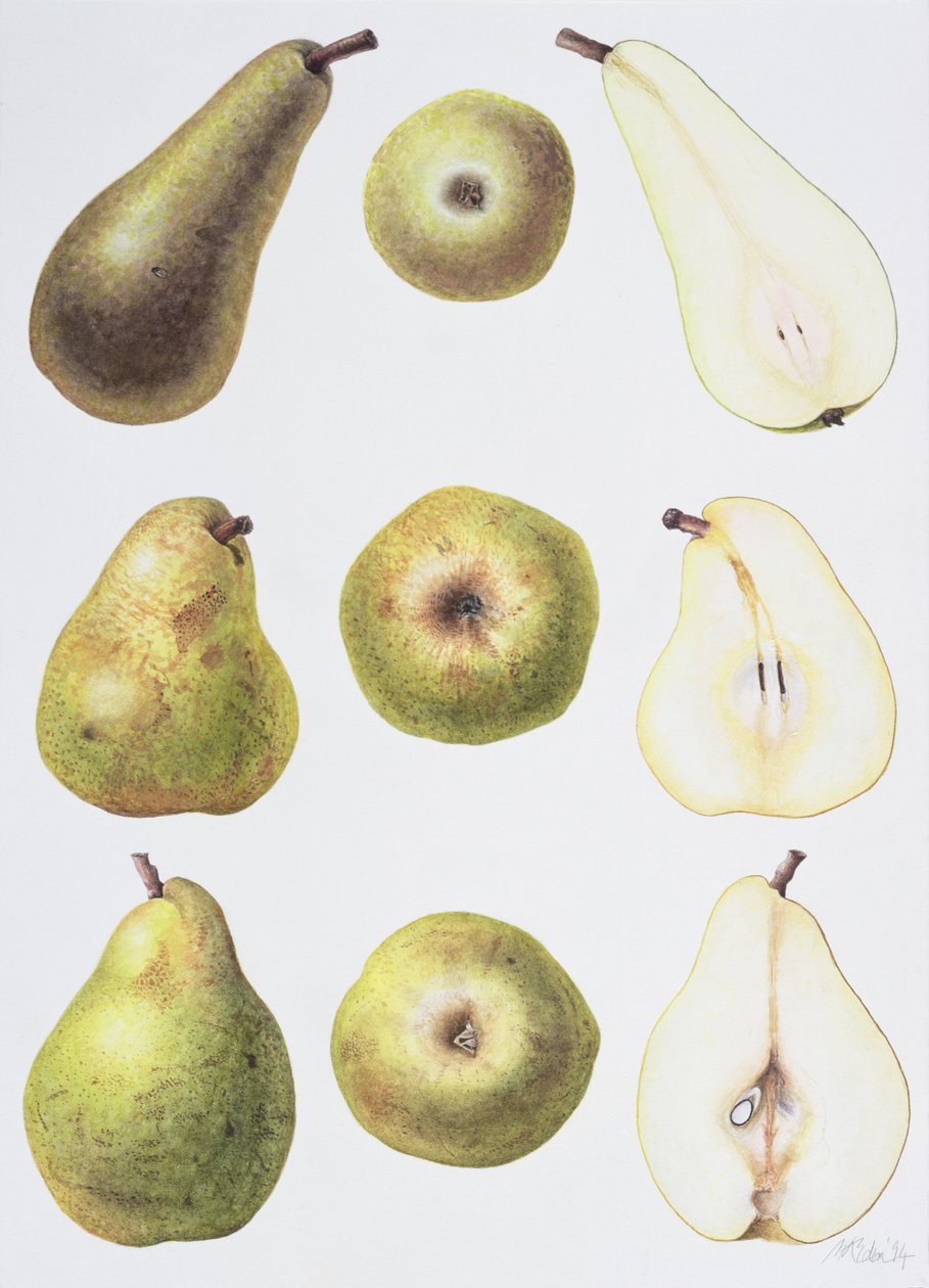 Six poires - Margaret Ann Eden