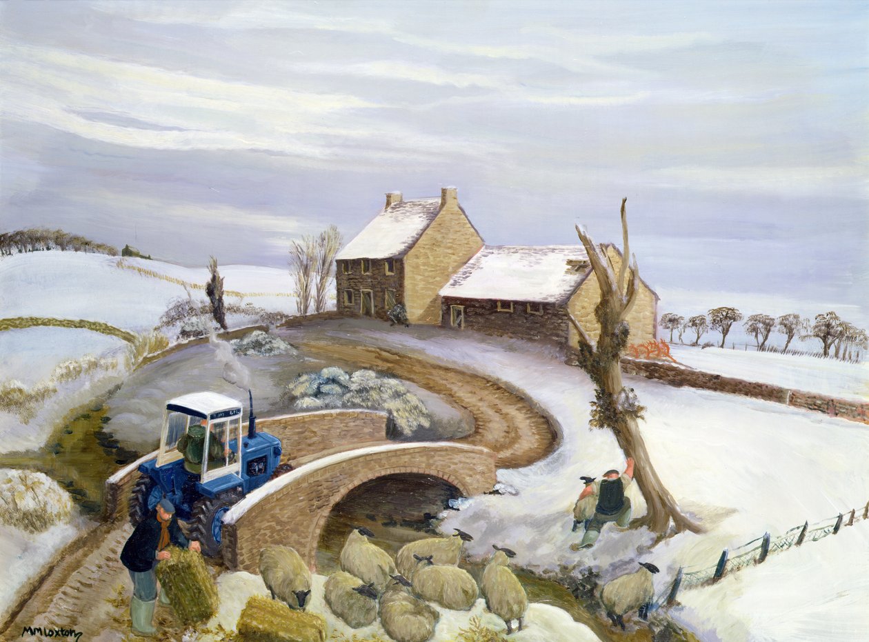 Janvier dans les collines - Margaret Loxton