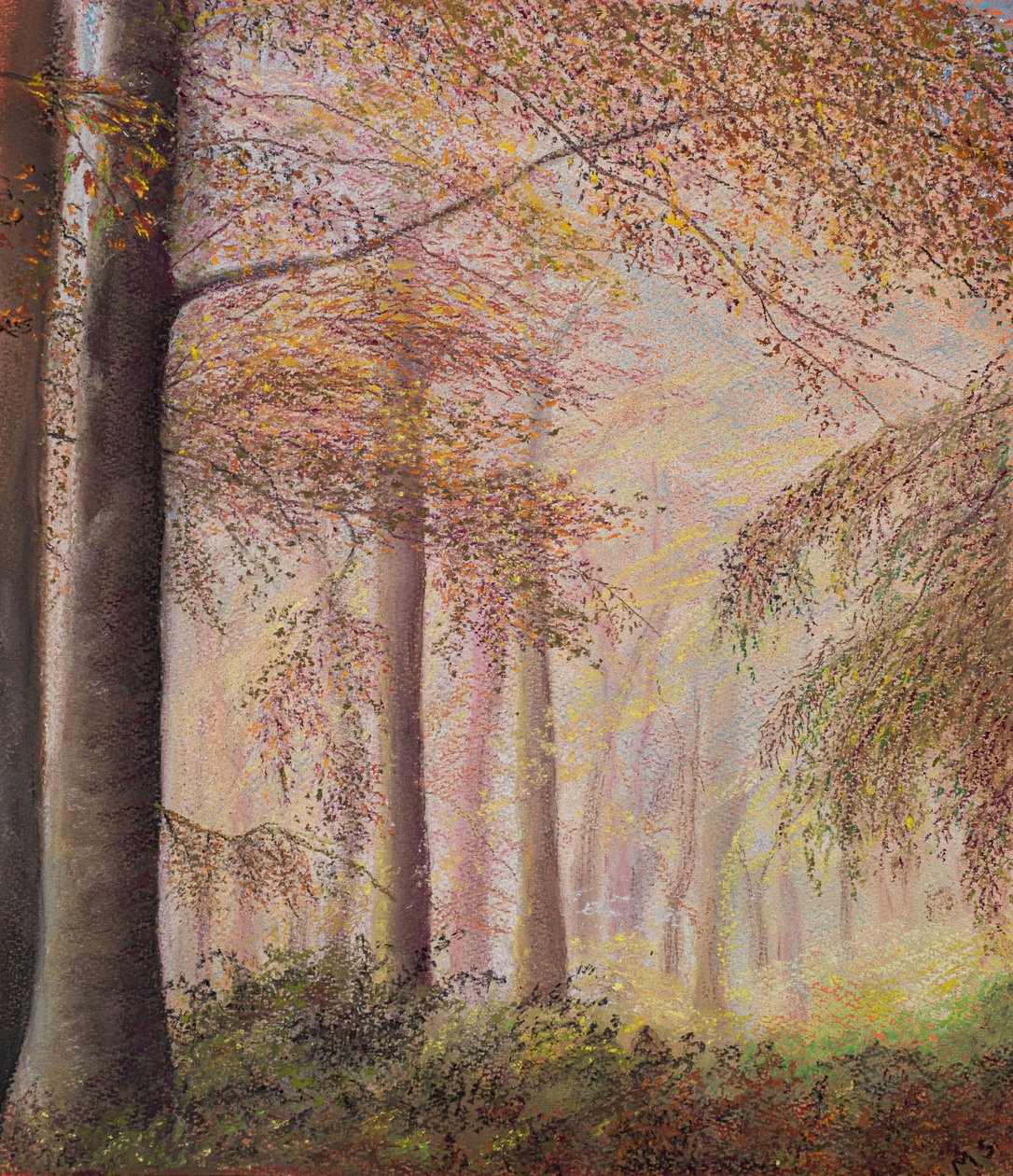 Bois brumeux - Margo Starkey