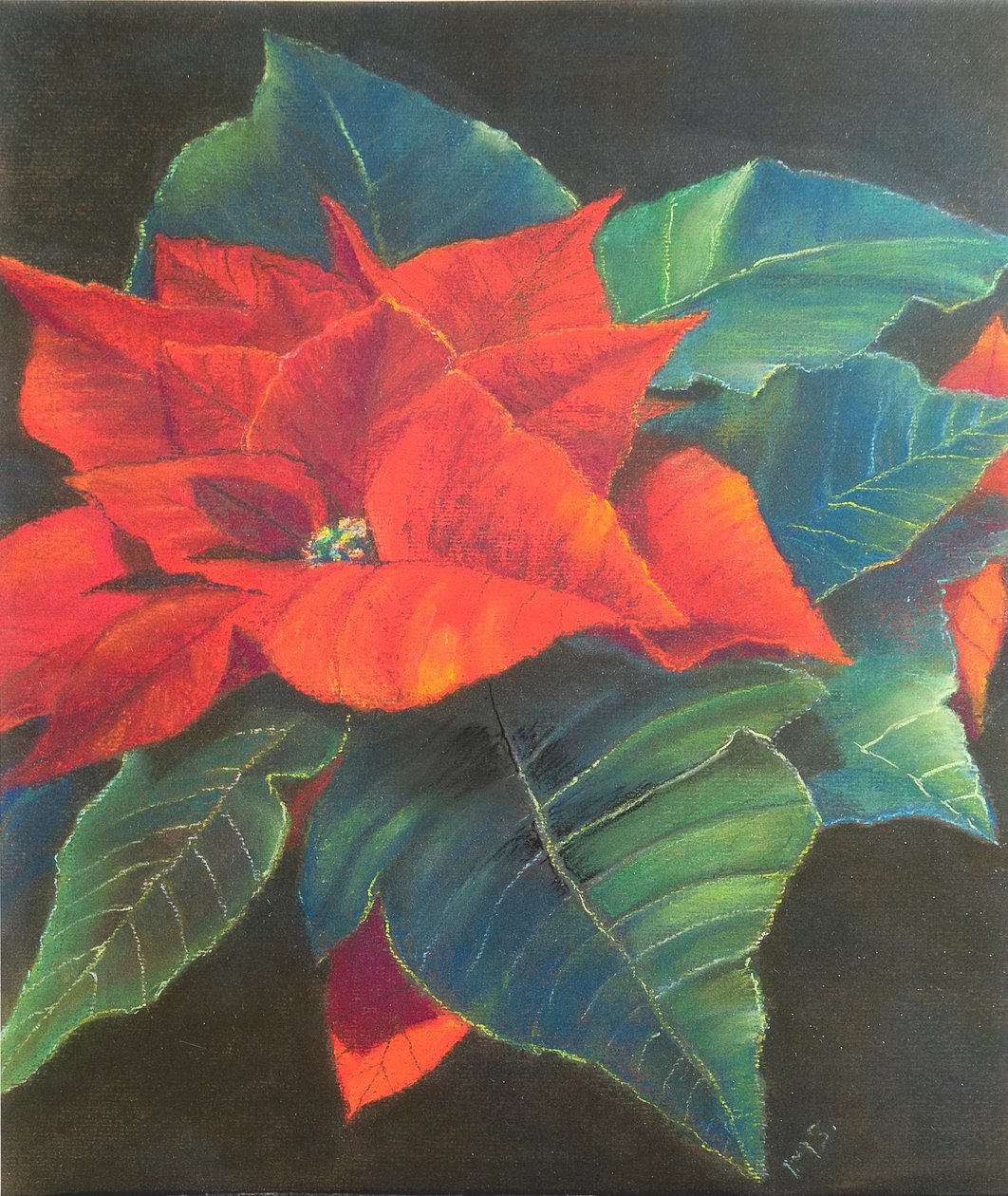 Poinsettia, 2022 - Margo Starkey