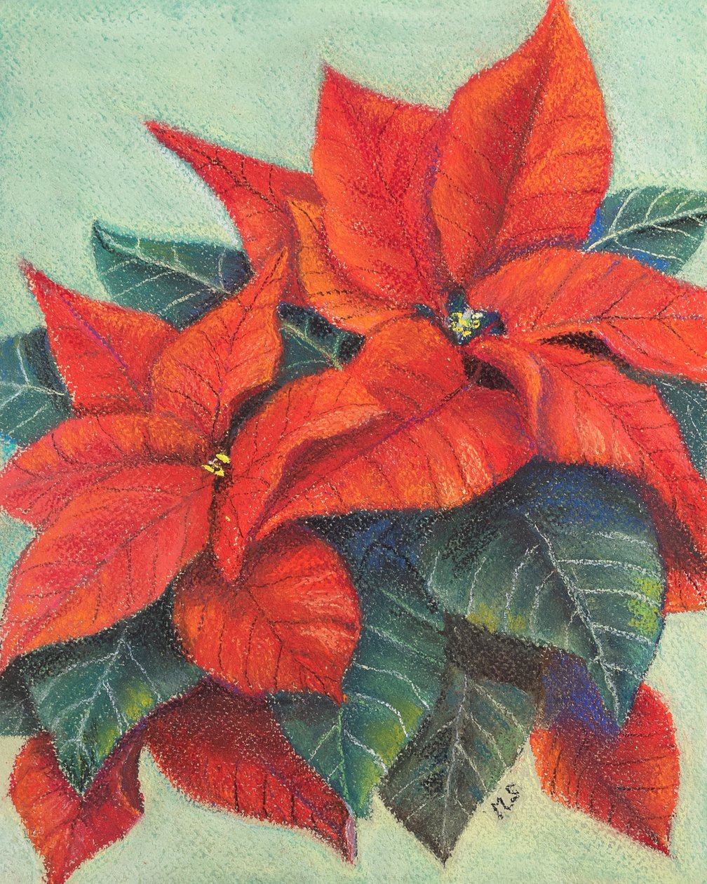 Poinsettias, 2022 - Margo Starkey