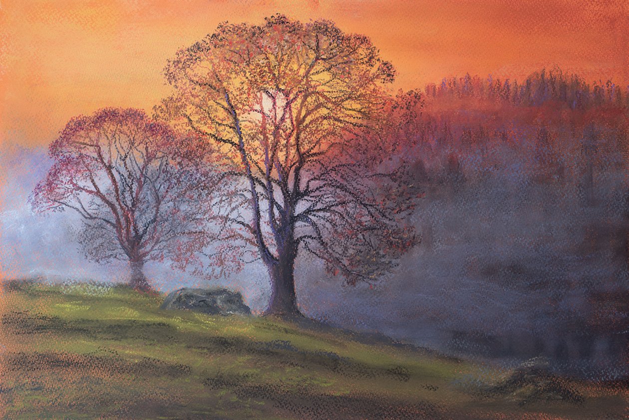 Soleil à travers la brume matinale - Margo Starkey
