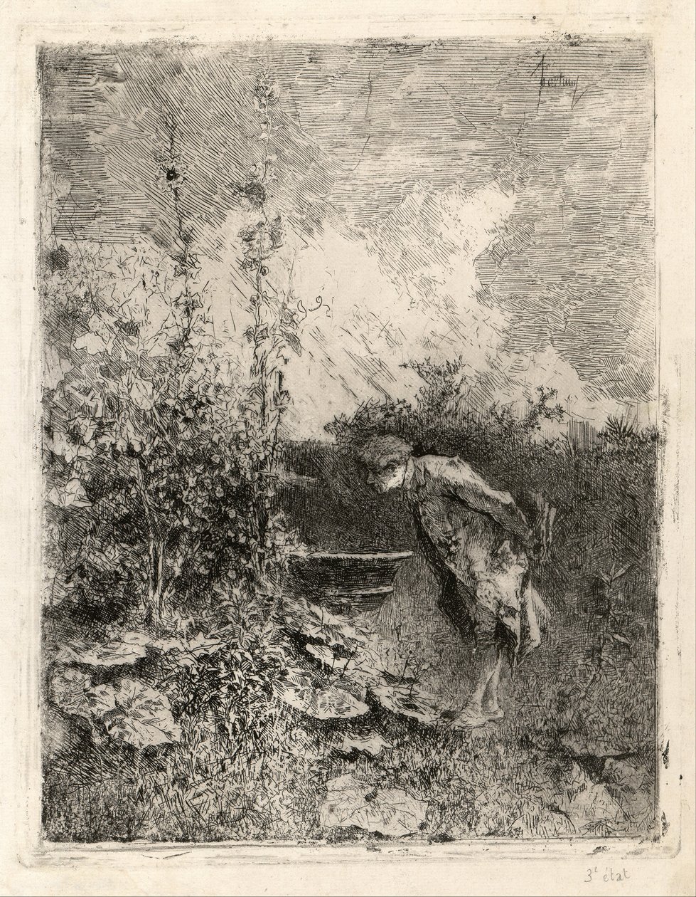 Le Botaniste - Marià Fortuny Marsal