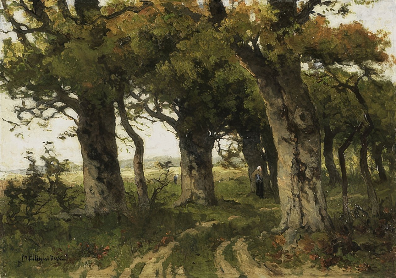 Allée de chênes à la fin de l