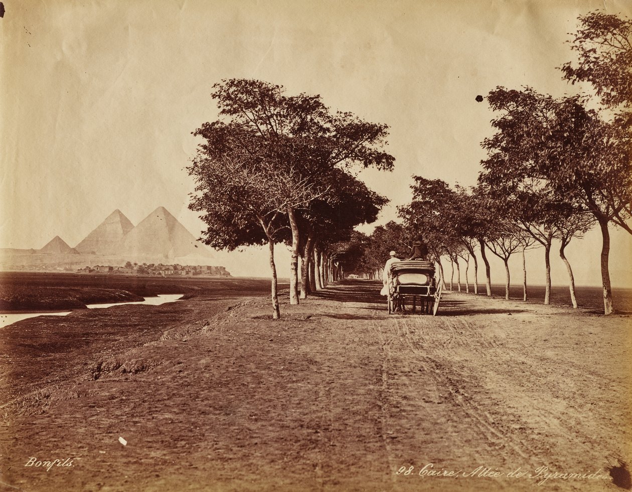 Le Caire. Allée des Pyramides - Maria Sibylla Merian