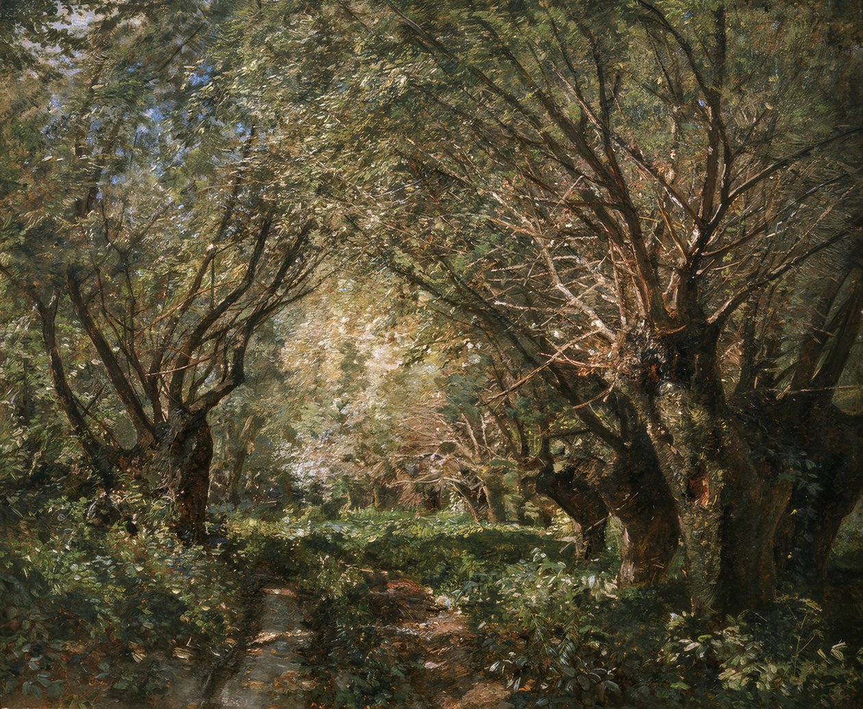 Allée de saules à Stillfried an der March - Marie Egner