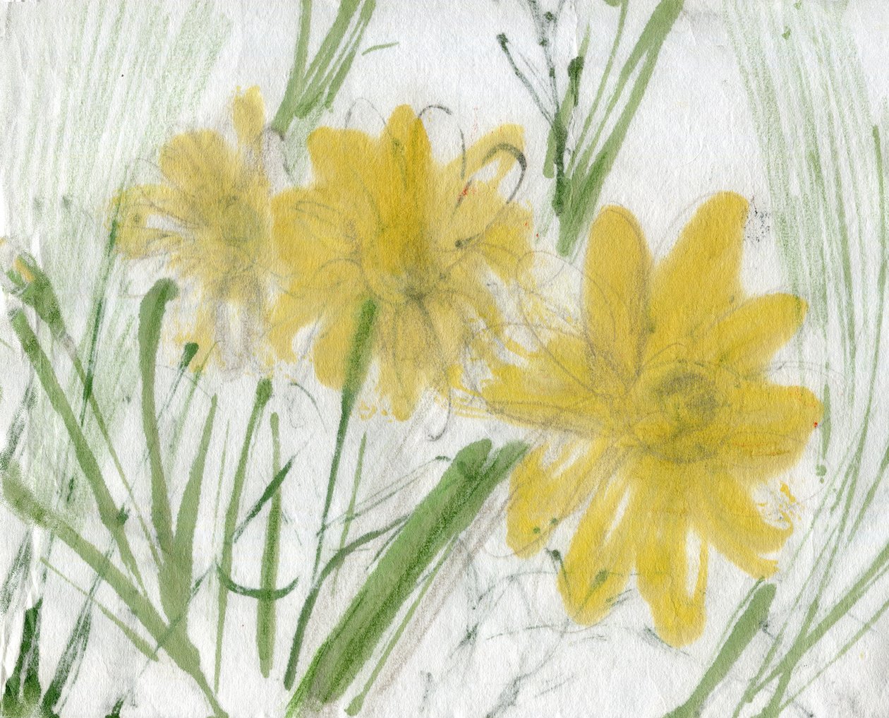 Fleurs Marina - Marina Falco