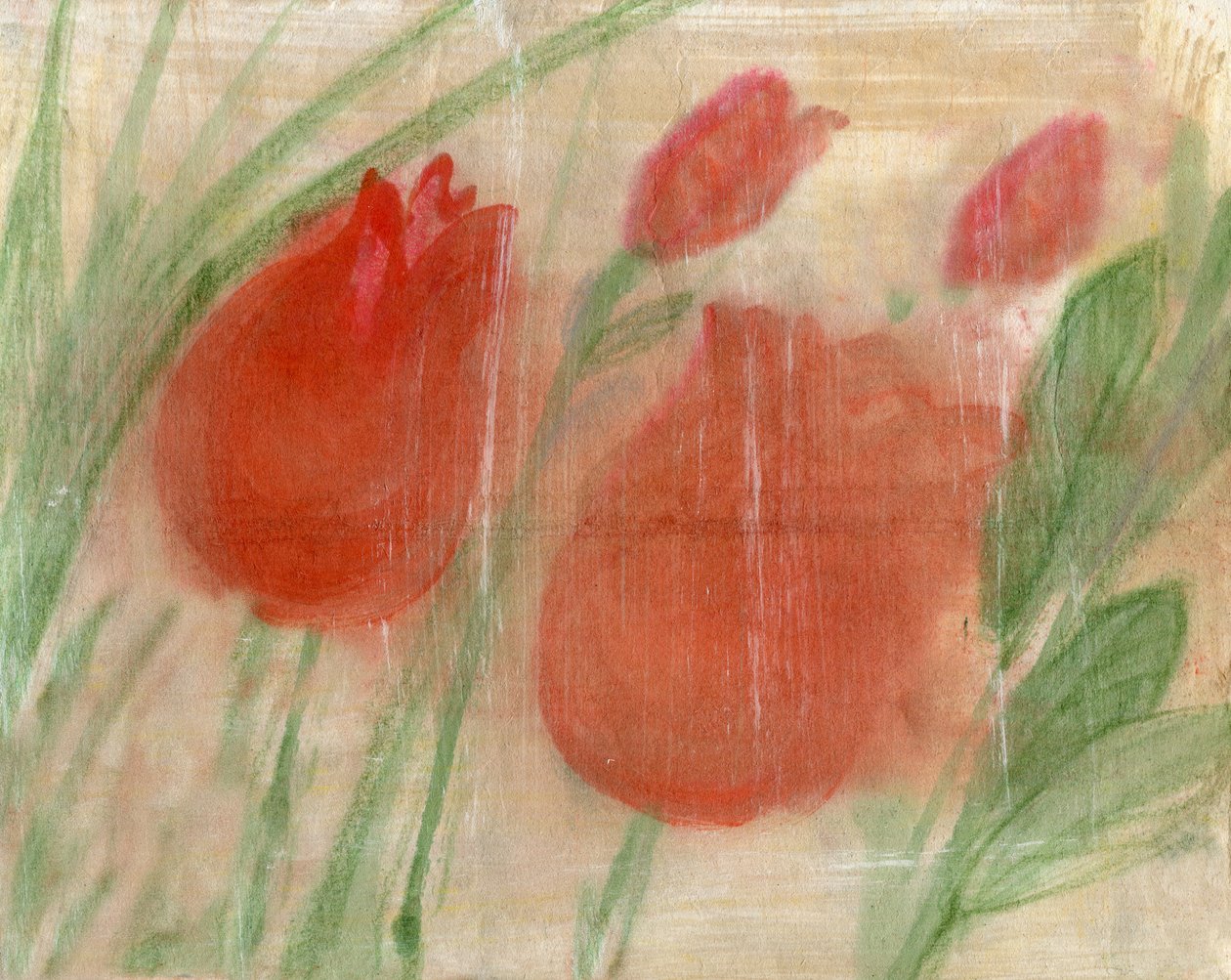 Tulipes rouges - Marina Falco