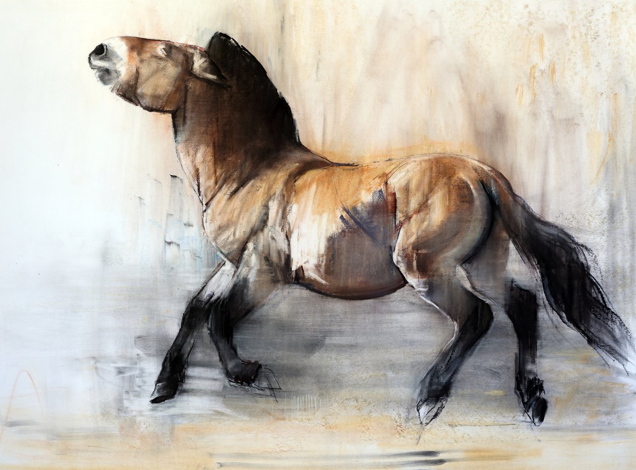 Cheval ancien (Przewalski en hiver) - Mark Adlington