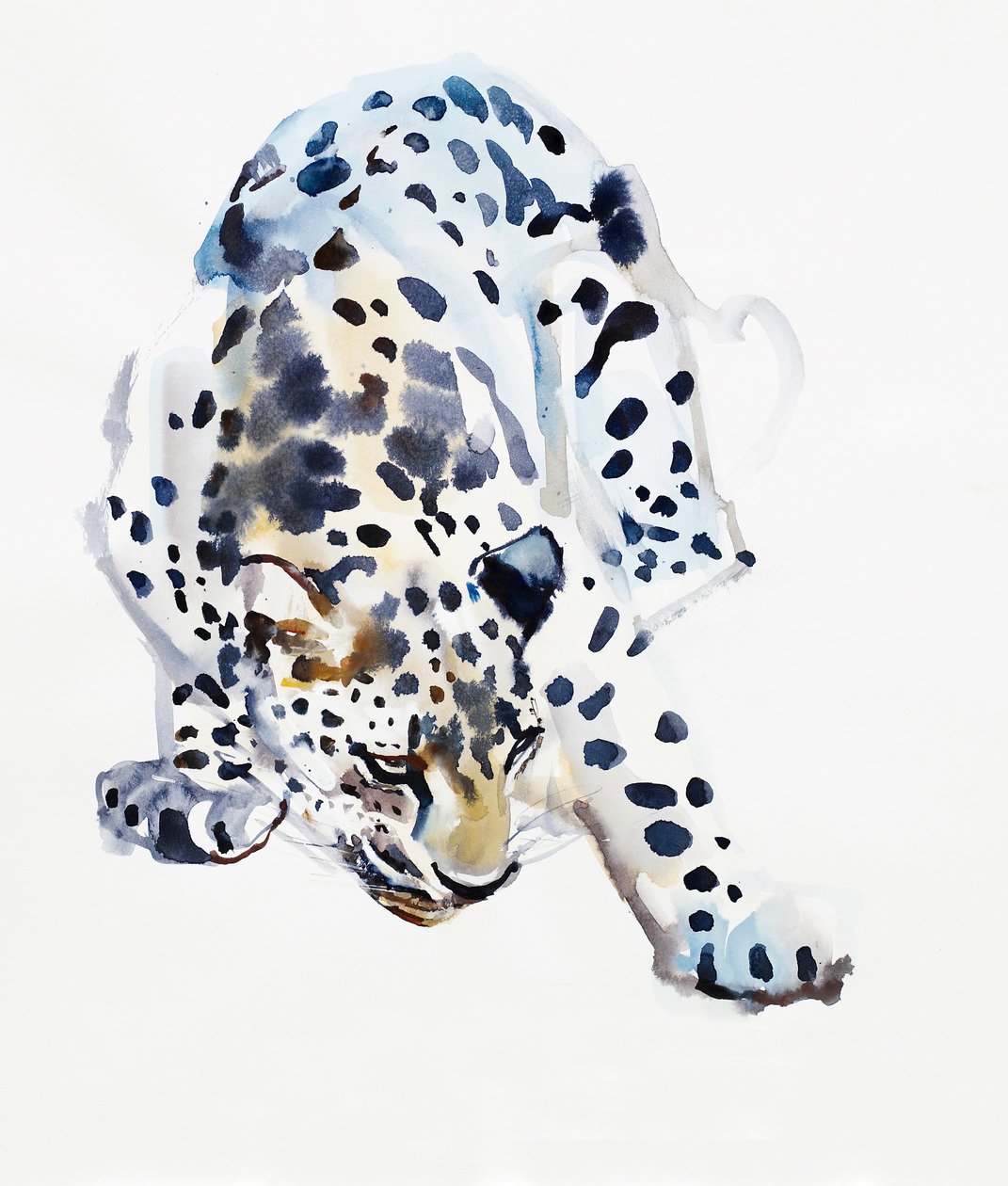 Léopard arabe, 2008 - Mark Adlington