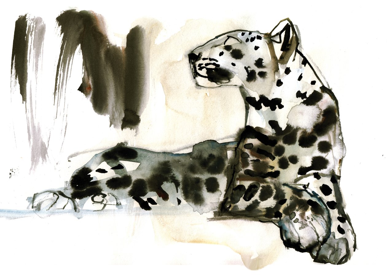 Léopard arabe, 2008 - Mark Adlington