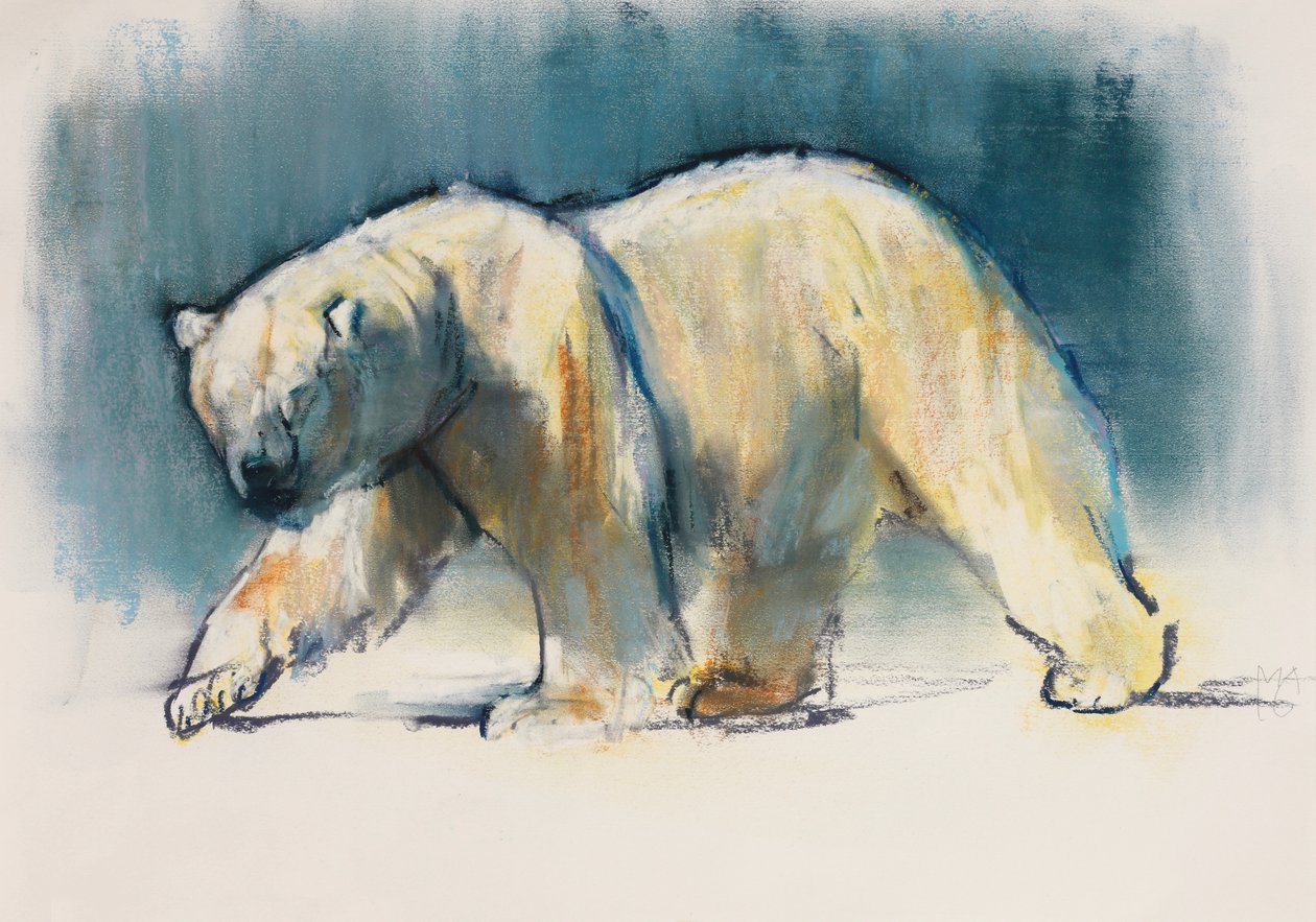 Lumière arctique, 2017 - Mark Adlington
