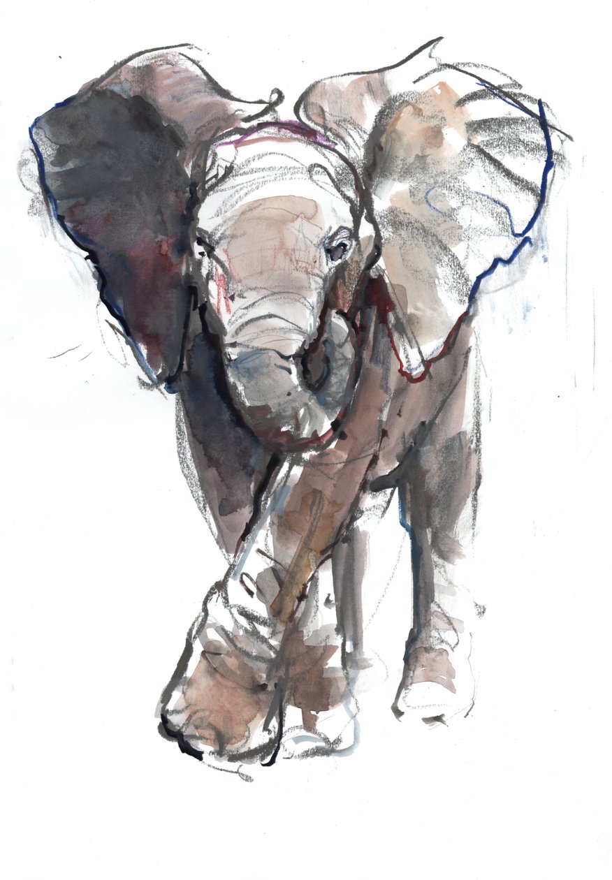 Charge de bébé, 2018 - Mark Adlington