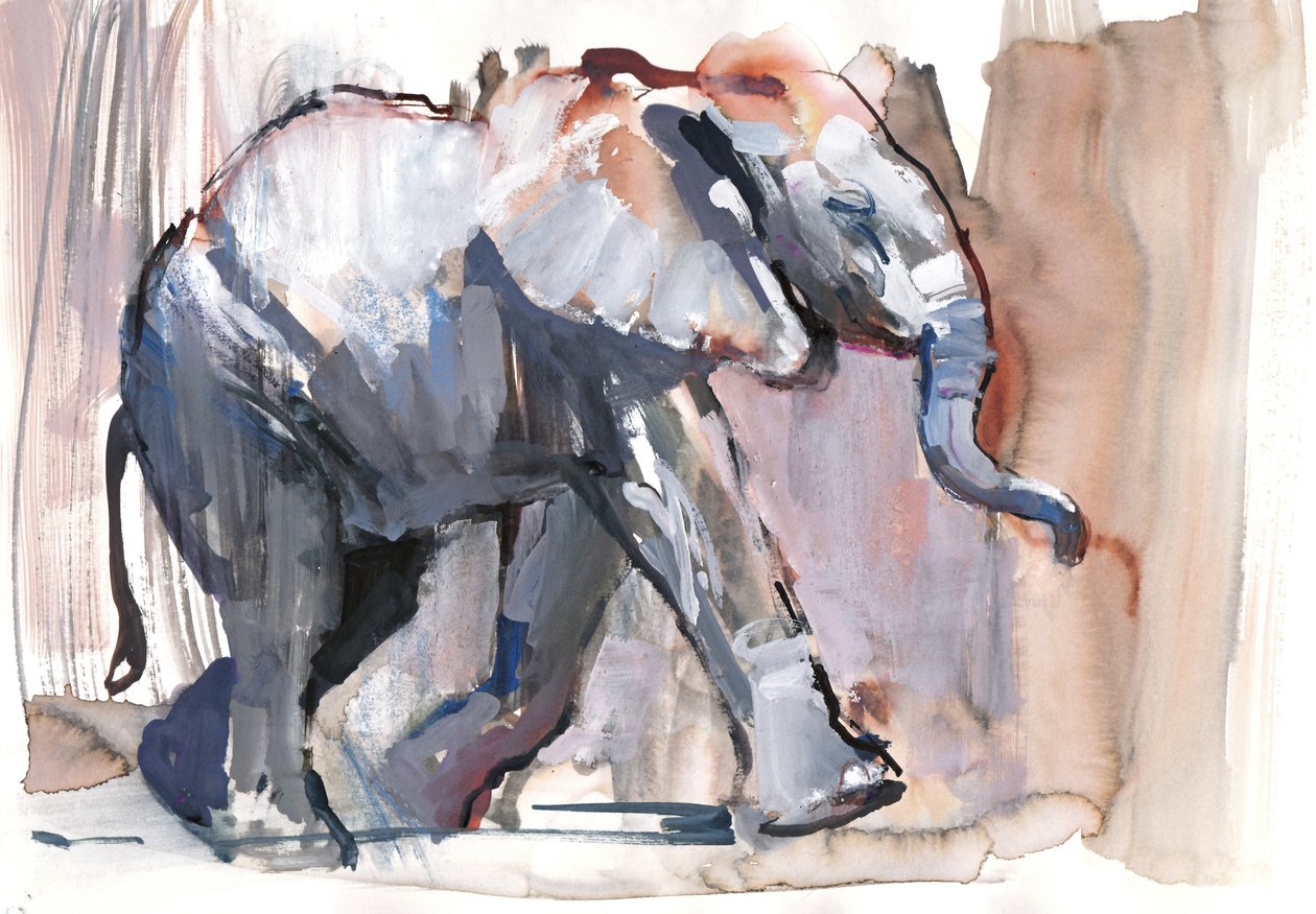 Bébé éléphant, 2012 - Mark Adlington