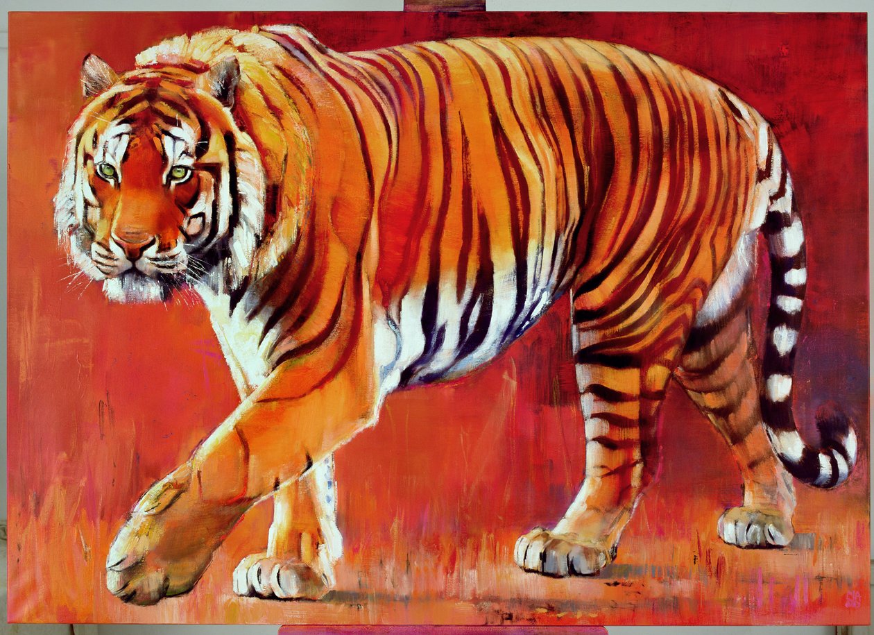 Tigre du Bengale - Mark Adlington