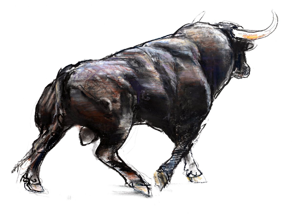 Taureau - Mark Adlington