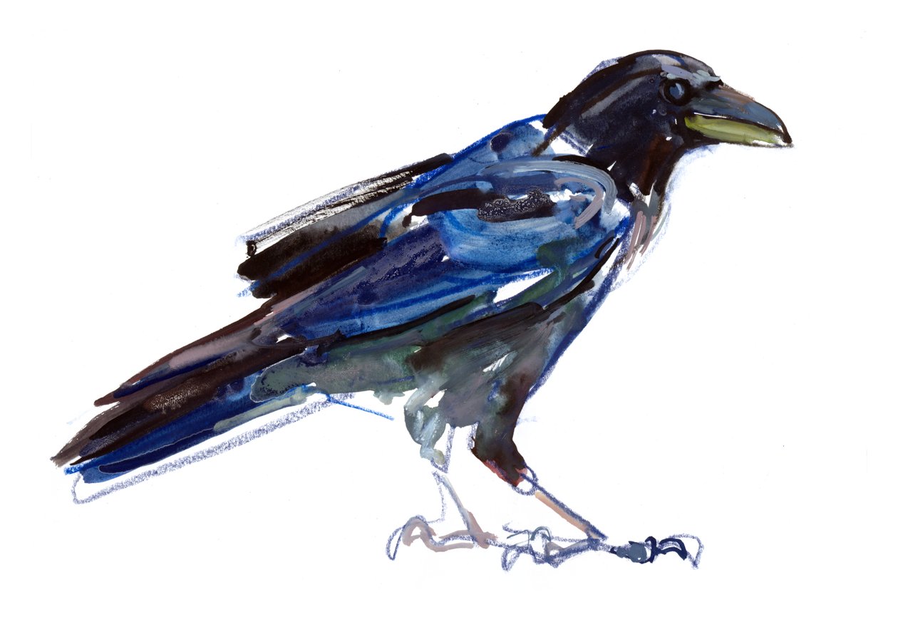 Corbeau, 2022 - Mark Adlington