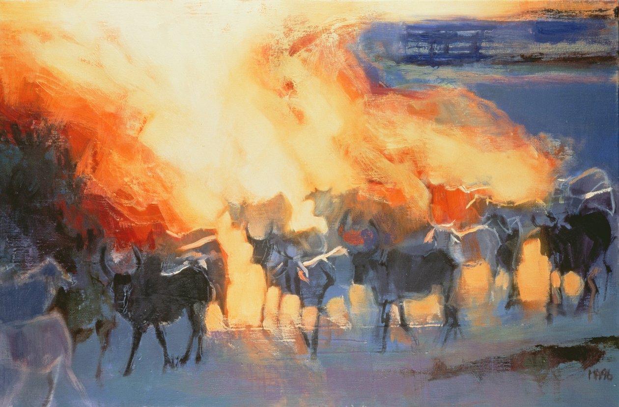 Nuage de poussière, Drung, 1996 - Mark Adlington