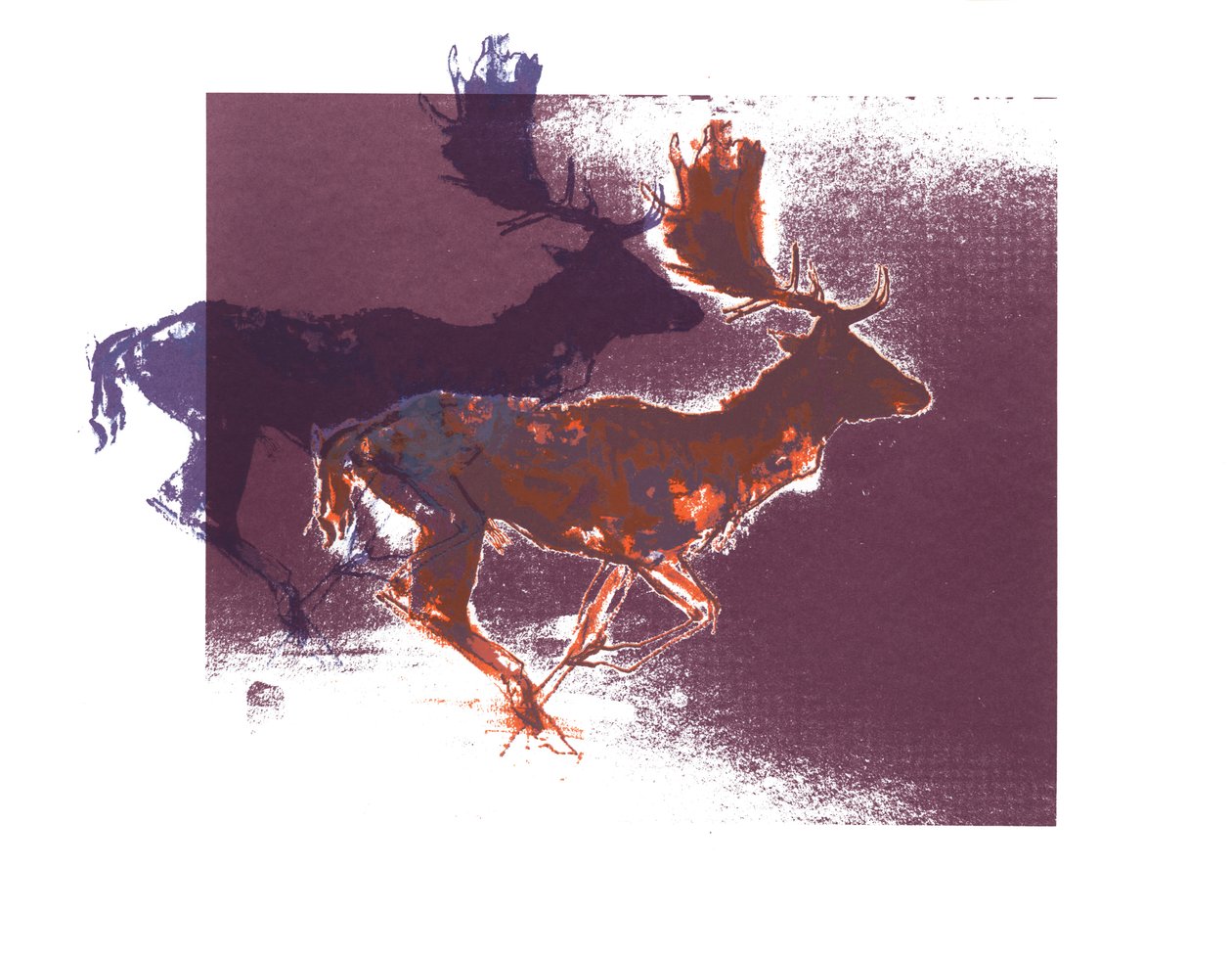 Cerfs Dama (orangelilac), 2015, (sérigraphie) - Mark Adlington