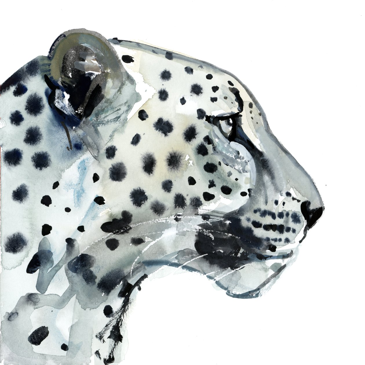 Focus, 2015 - Mark Adlington