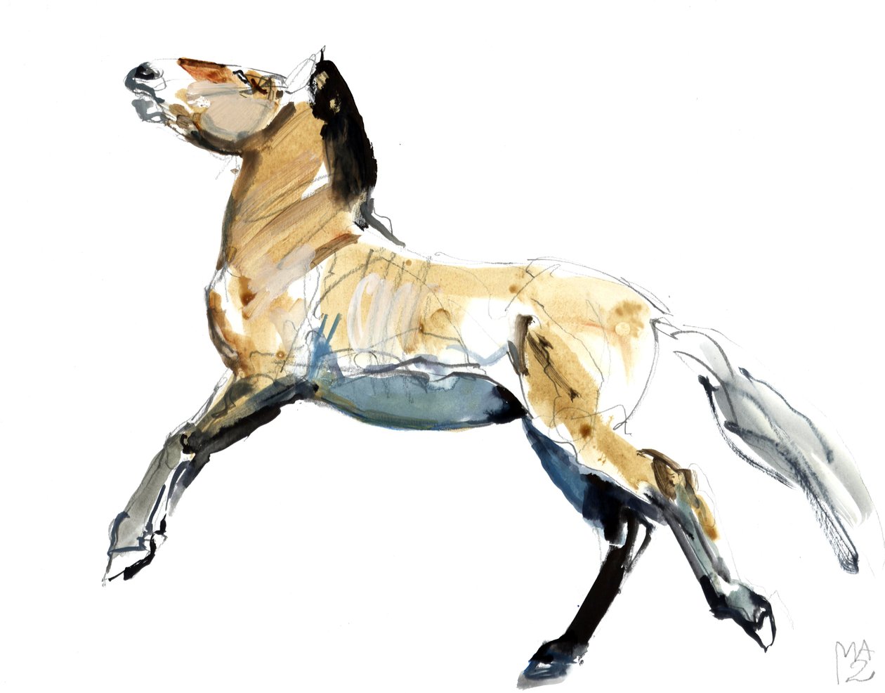 Libre (Przewalski), 2012 - Mark Adlington