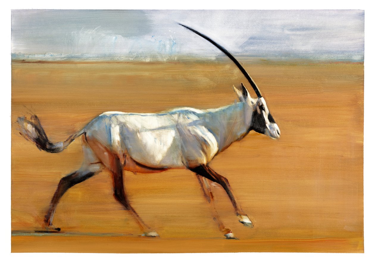 Oryx galopant, 2010 - Mark Adlington