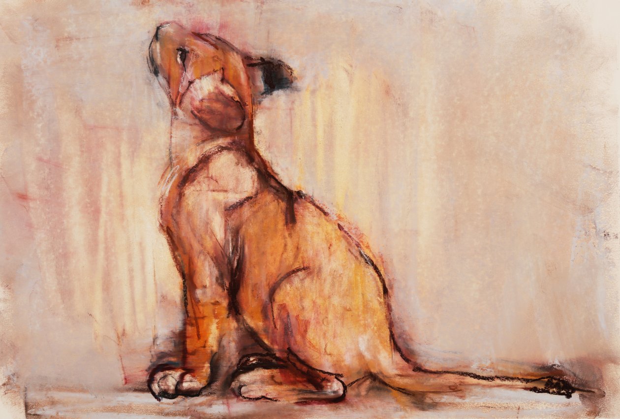Petit lion doré - Mark Adlington