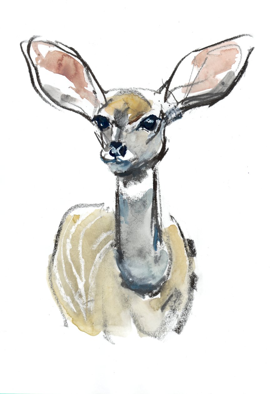 Faon de Kudu, Sarara, 2018 - Mark Adlington