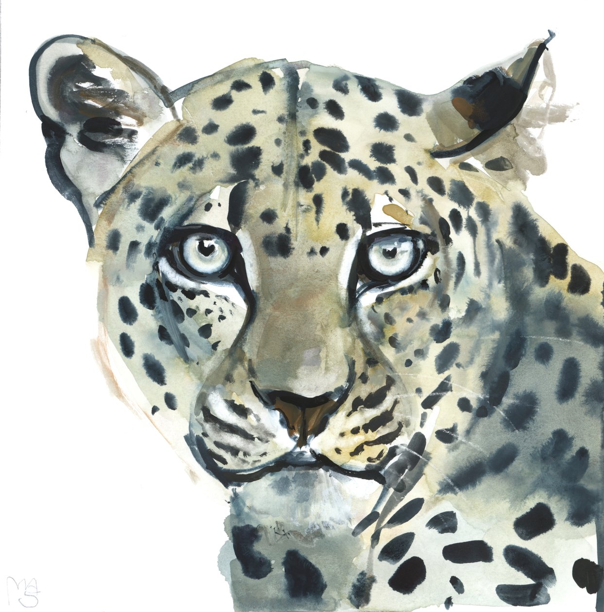 Léopard, 2015 - Mark Adlington