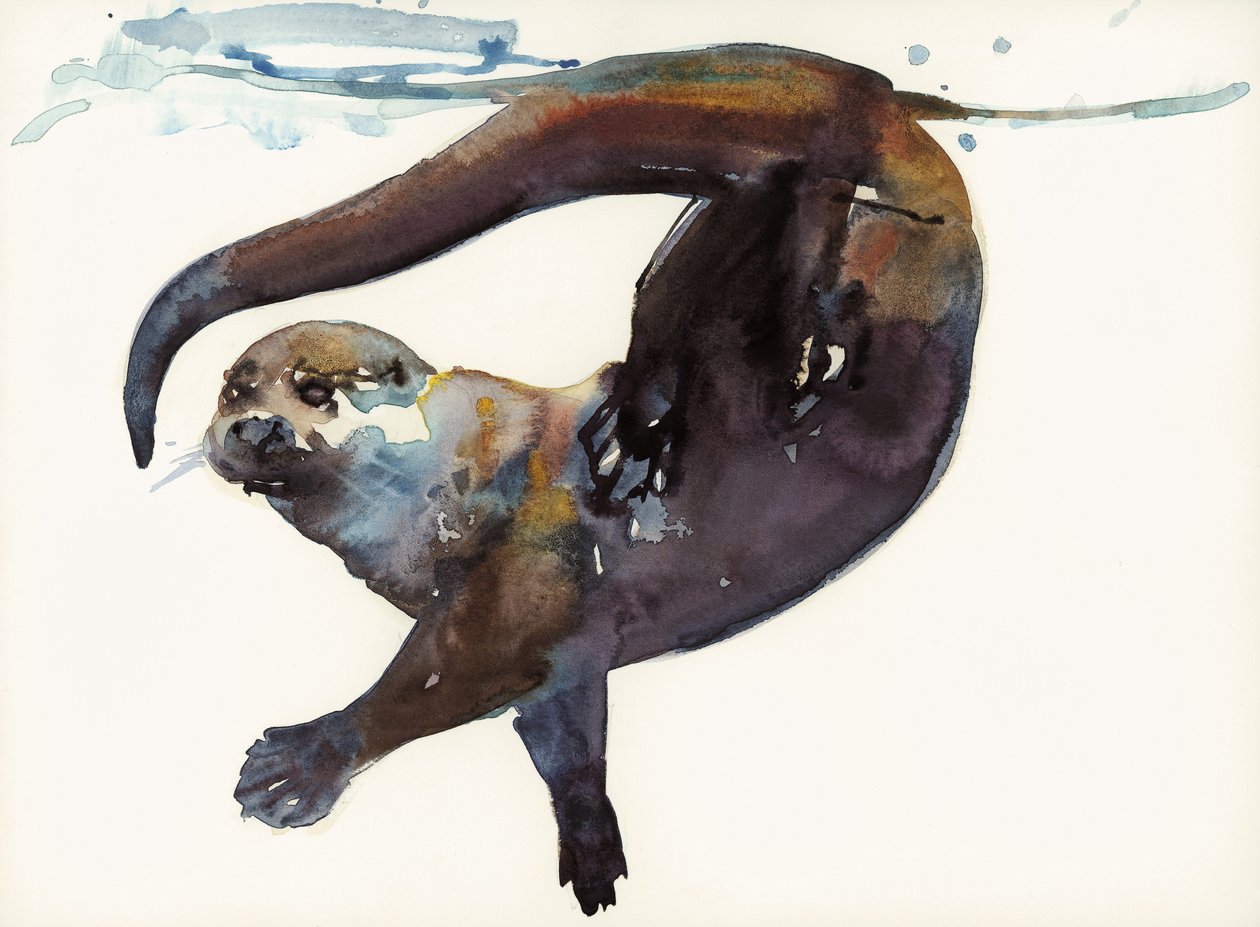 Étude de loutre II - 