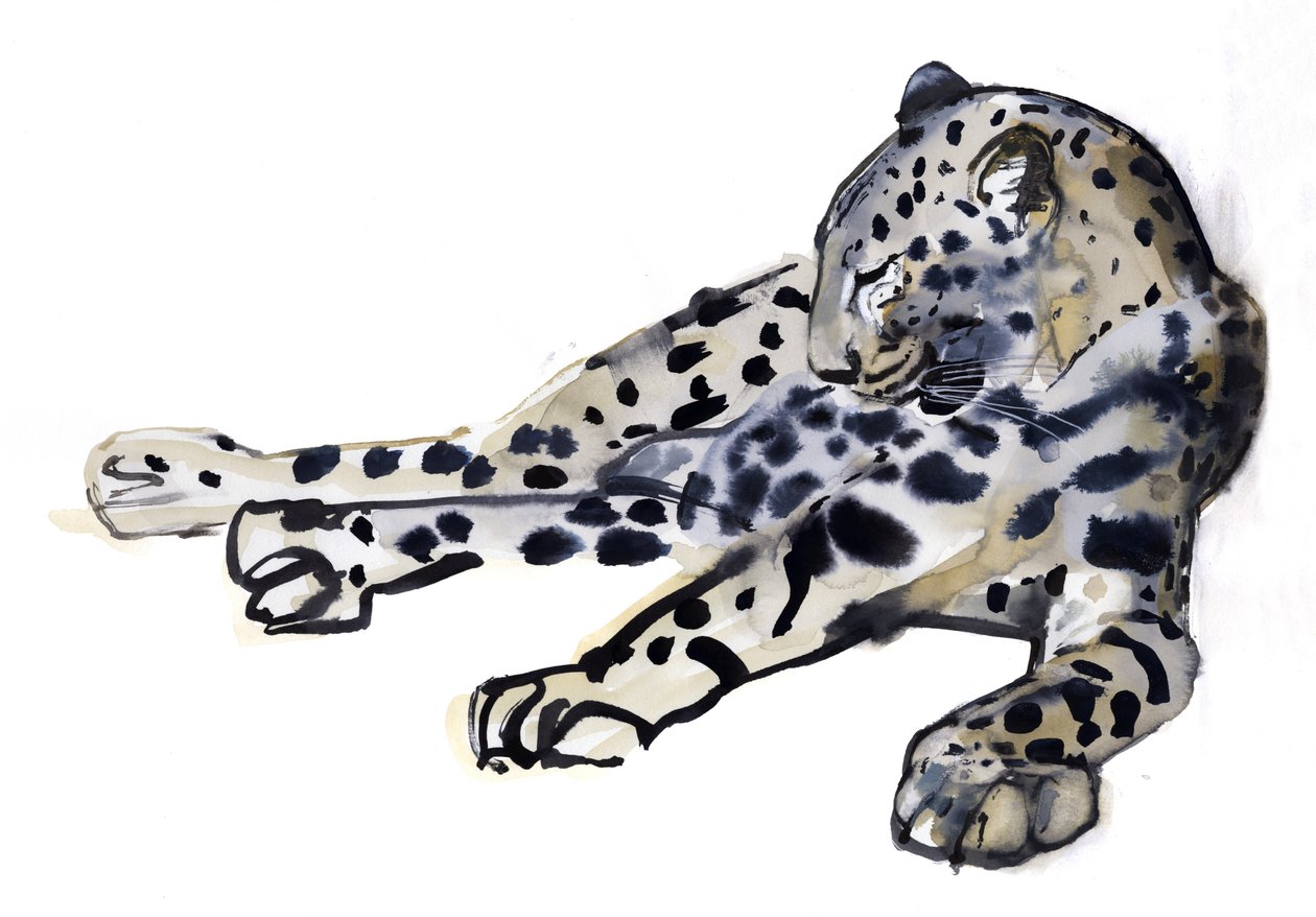 Recliné (léopard arabe), 2008 - Mark Adlington