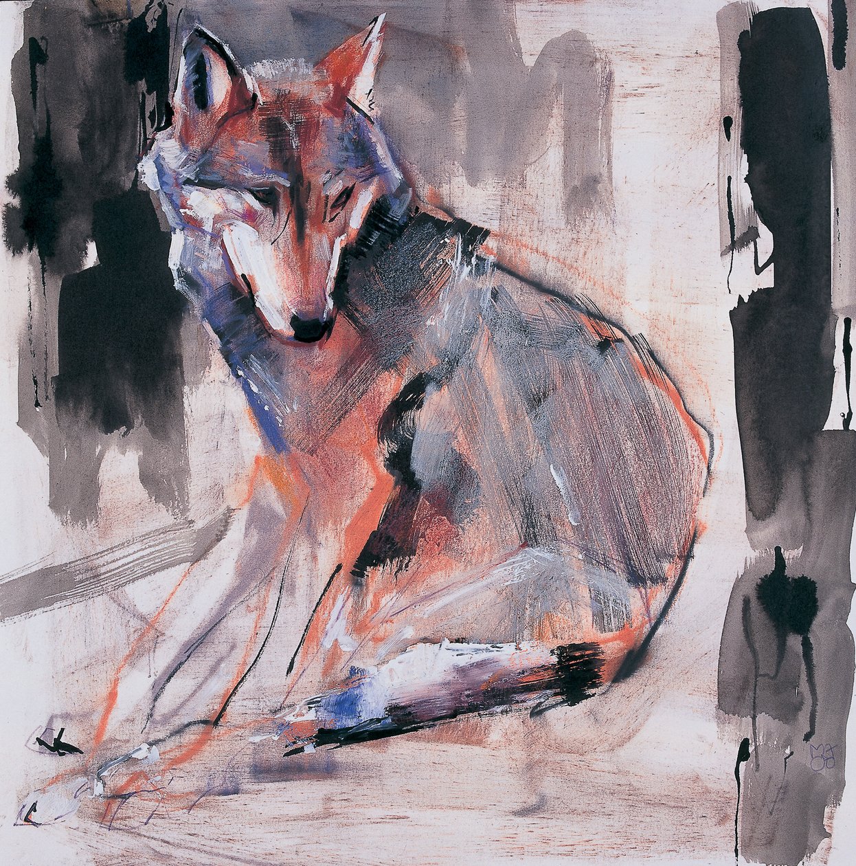 Loup assis - Mark Adlington