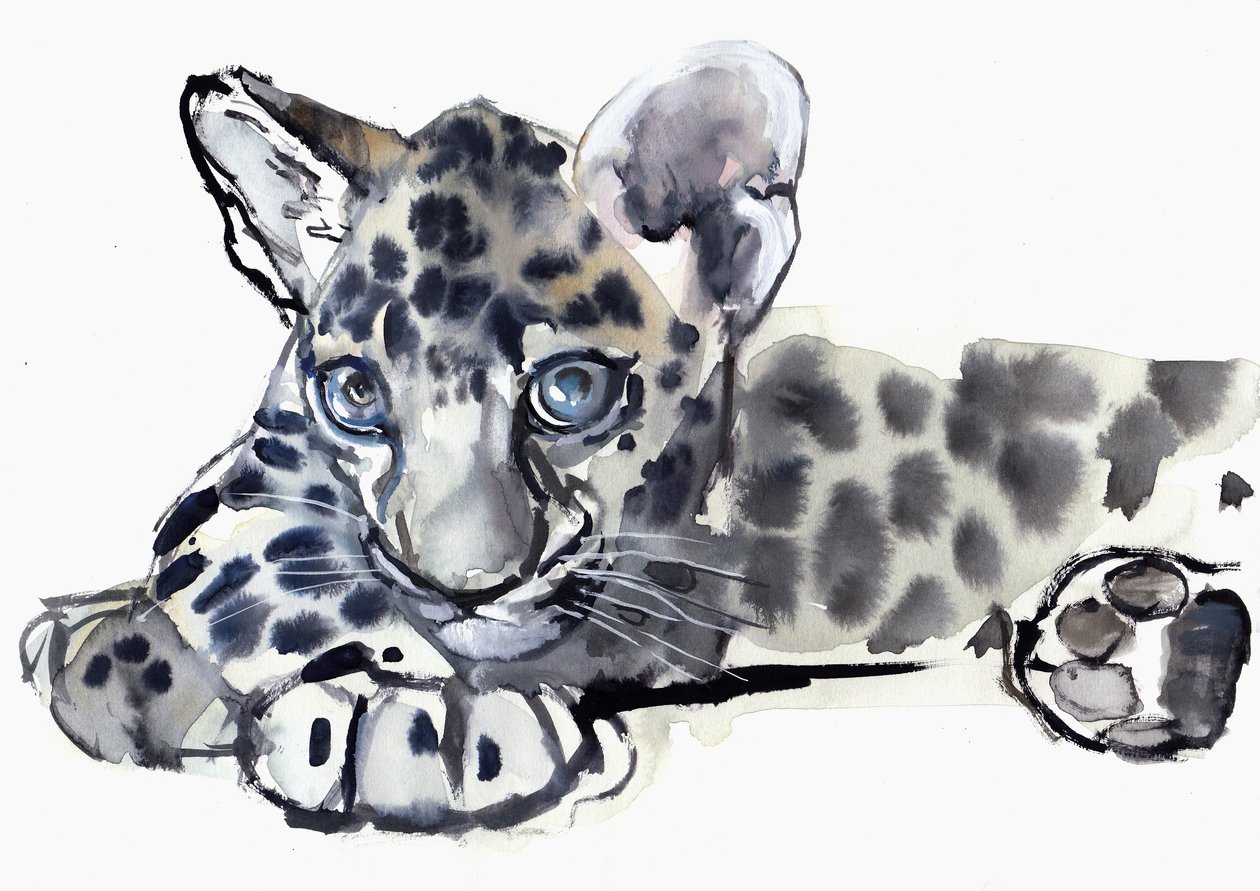 Spotty (jeune léopard arabe), 2008 - Mark Adlington