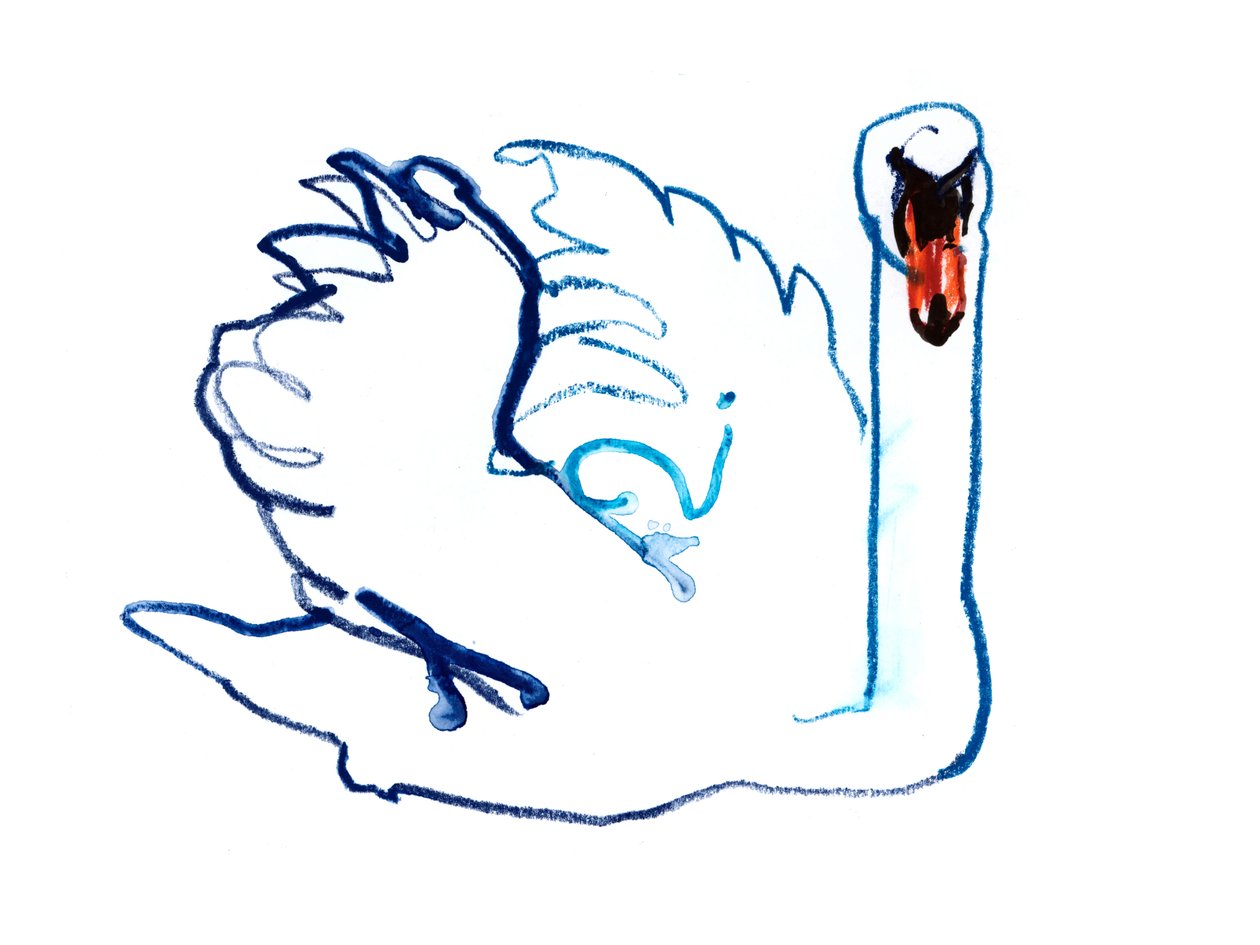 Cygne, 2021 - Mark Adlington