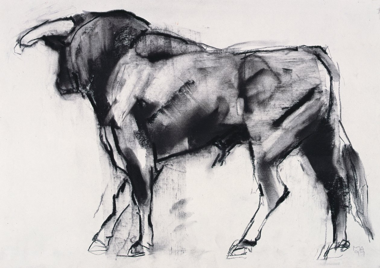 Toro Azul, étude - Mark Adlington