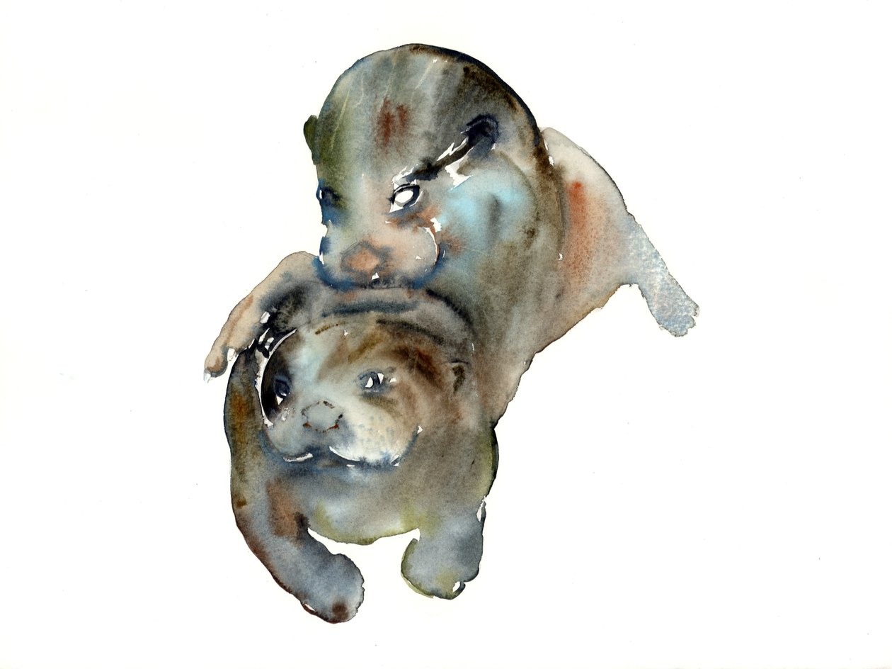 Titre inconnu - Mark Adlington