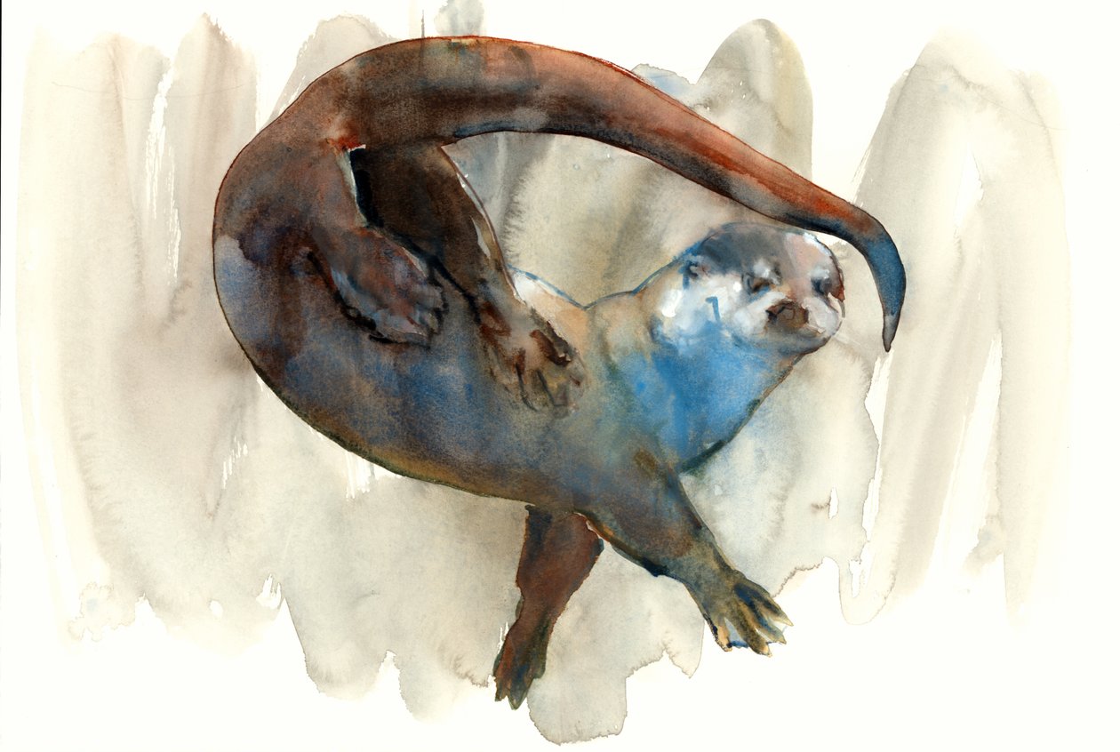 Titre inconnu - Mark Adlington