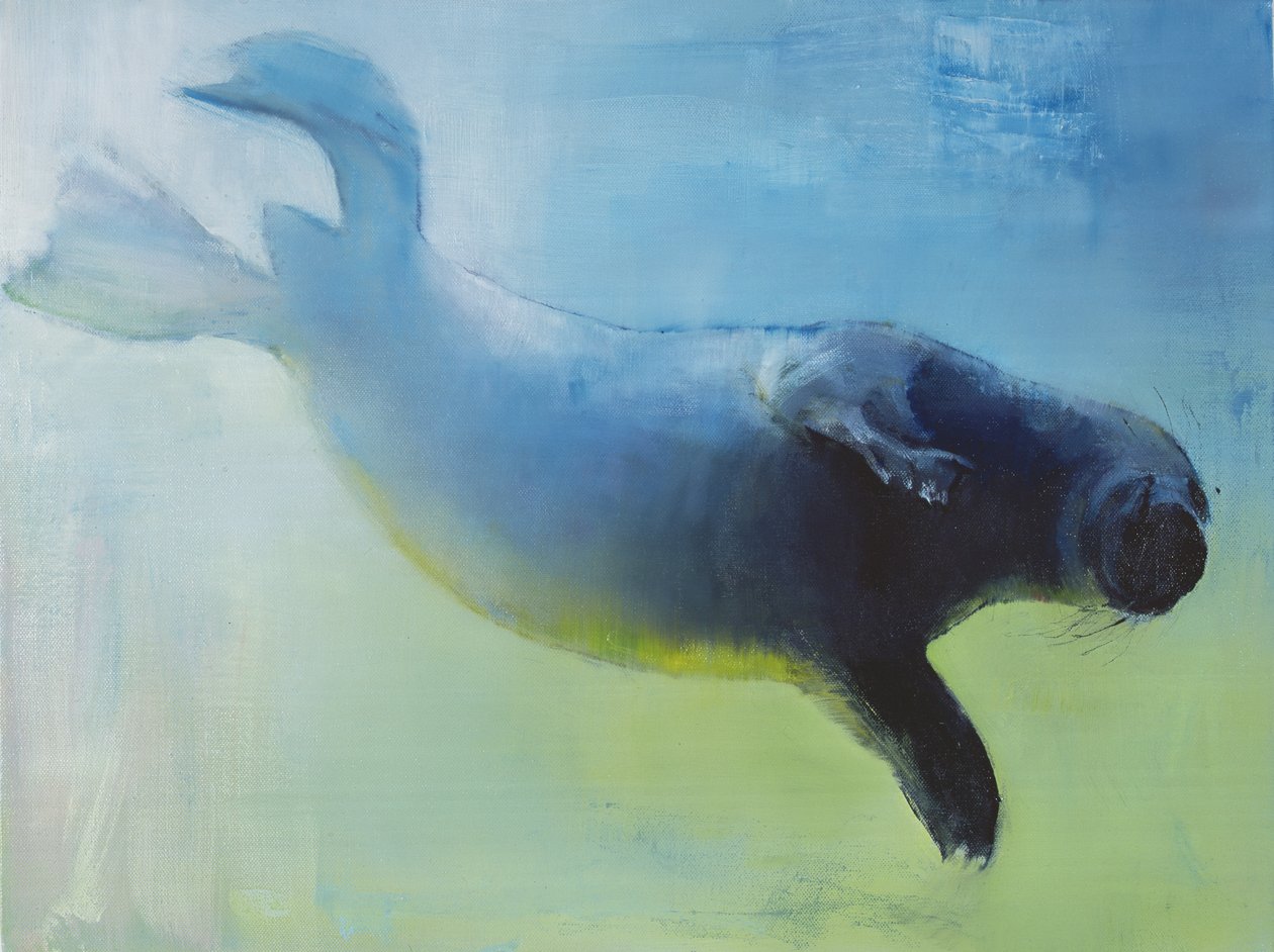 En apesanteur, 2003 - Mark Adlington