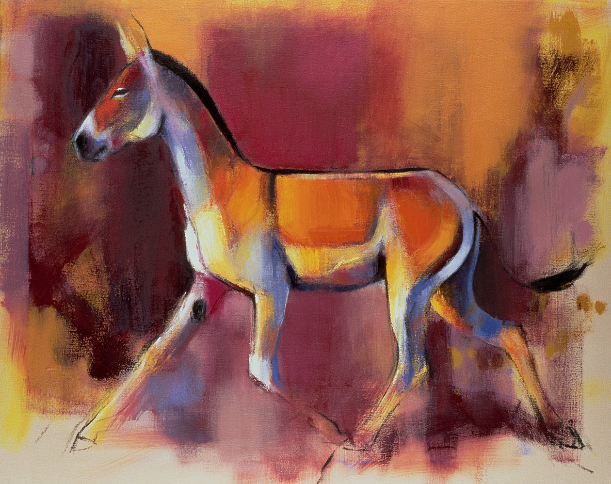 Âne sauvage, Rann de Kutch, 1996 - Mark Adlington