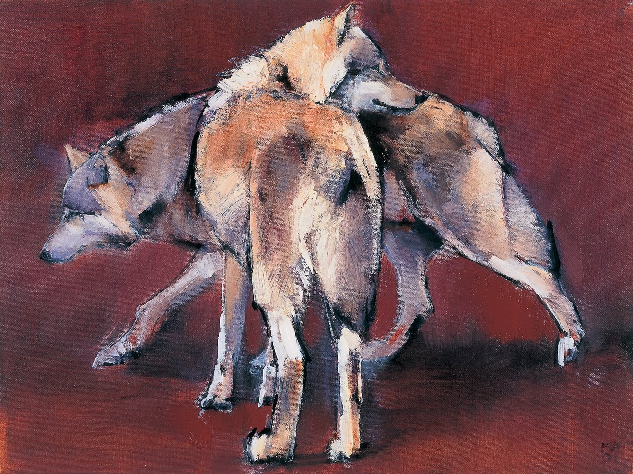 Composition de Loup, 2001 - Mark Adlington