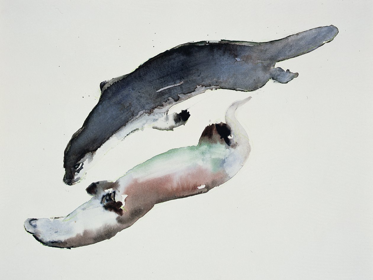 Yin Yang - Mark Adlington