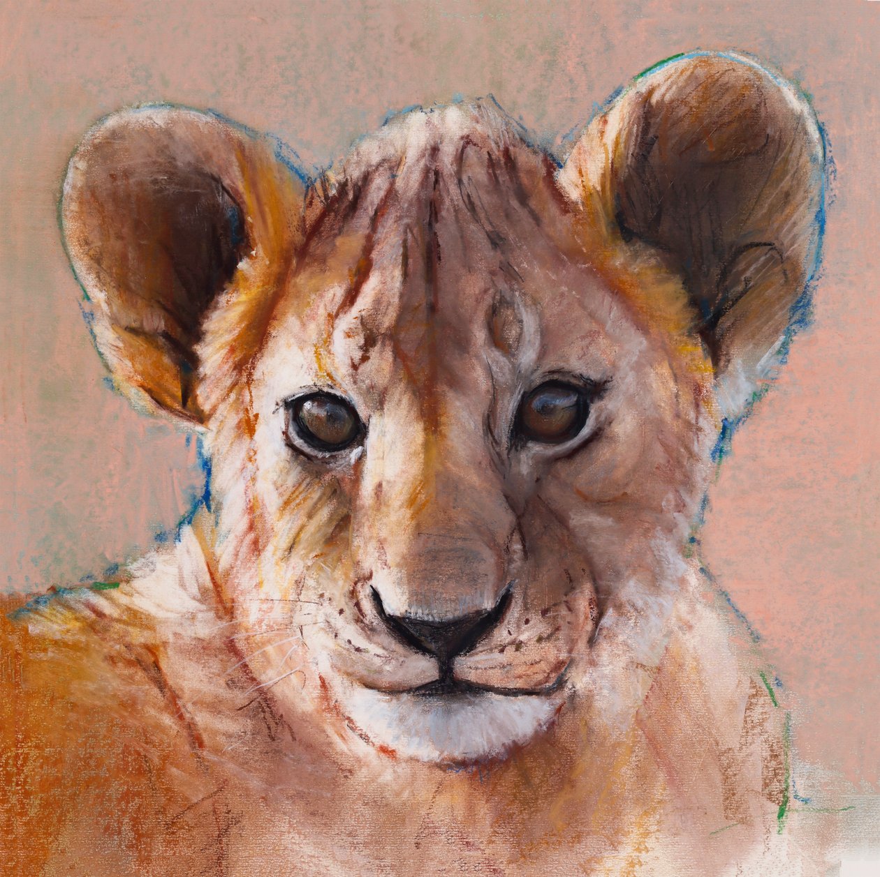 Le plus jeune lionceau, Masai Mara - Mark Adlington