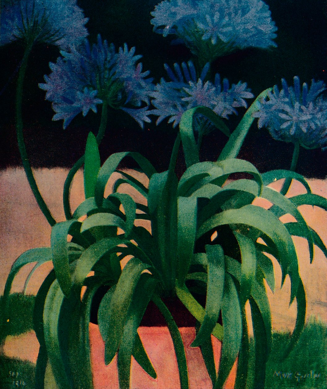 Agapanthus, 1914, vers 1932 - Mark Gertler