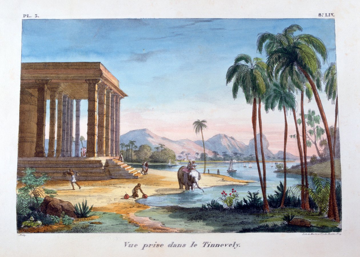 Vue de Tinnevelly, Inde, 1828 - Marlet et Cie