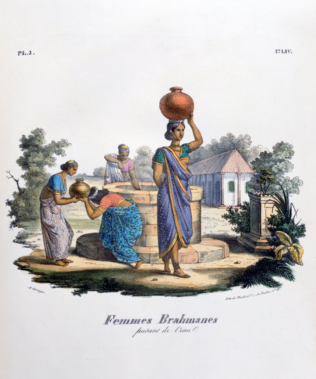 Femme brahmane collectant de l