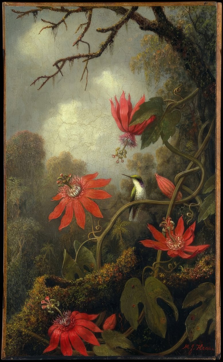 Colibri et fleurs de la passion - Martin Johnson Heade