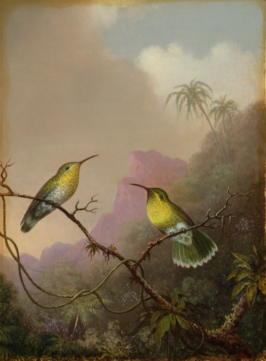 Deux colibris, c.1865-75 - Martin Johnson Heade