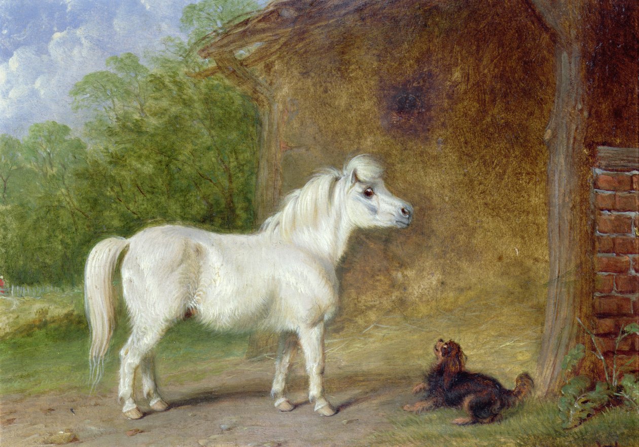 Un poney Shetland et un épagneul King Charles - Martin Theodore Ward