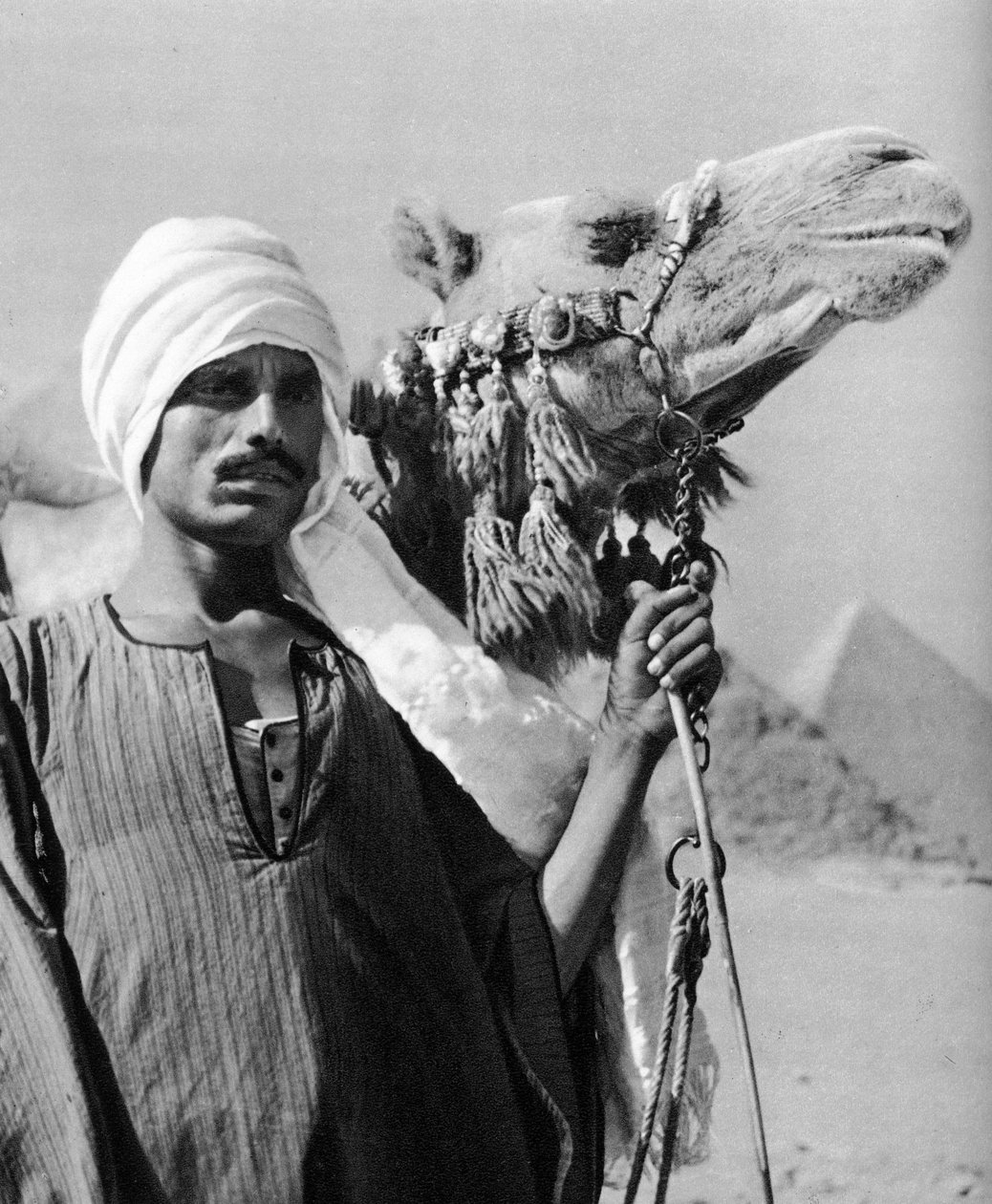 Chamelier près des pyramides, Égypte, 1937 - Martin Hurlimann